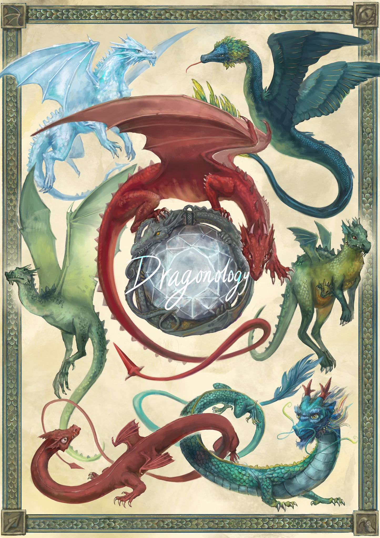 Dragonology Art Print (A3 Only)
