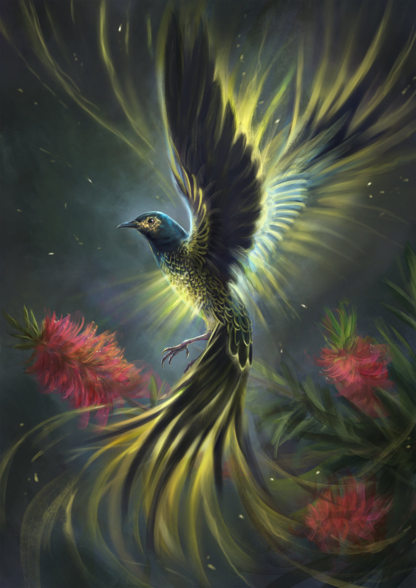 Regent Honeyeater Phoenix (A3 Only)