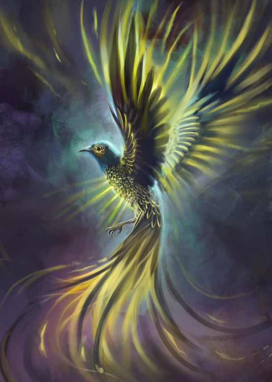 Regent Honeyeater Phoenix (A3 Only)